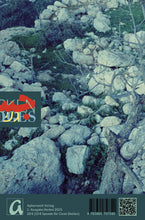 Lade das Bild in den Galerie-Viewer, Bridges-Brücken