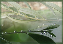 Lade das Bild in den Galerie-Viewer, Recht ströme wie Wasser