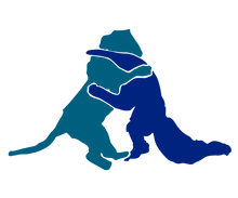 Lade das Bild in den Galerie-Viewer, diAk-SR Band 45 | Der Ameisenbär und der Jaguar - Sind sie unser Schicksal?