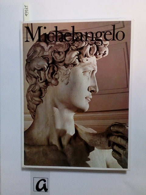 Michelangelo