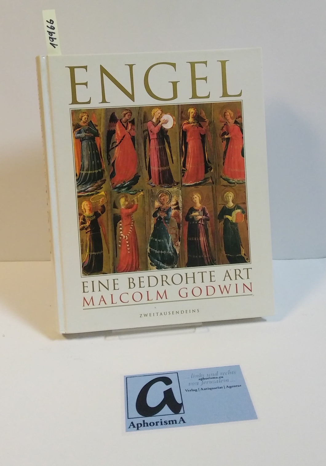 Engel - Eine bedrohte Art