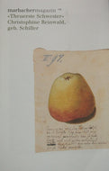 MM 118 | Theuerste Schwester Christophine Reinwald, geb. Schiller